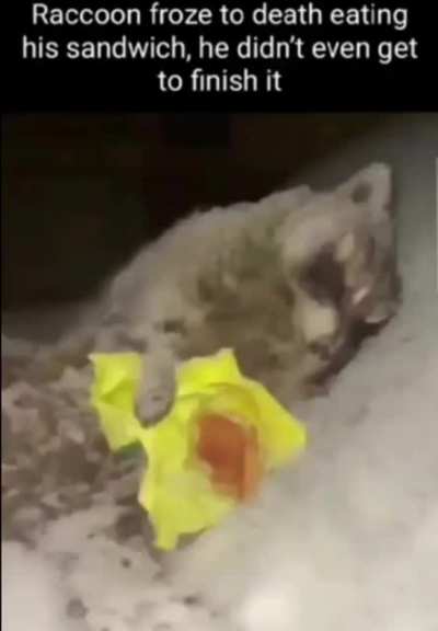 😭