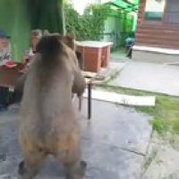 Enjoying watermelon