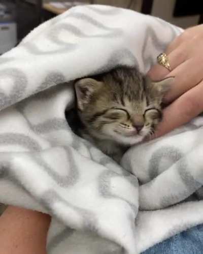 Can they get even more cute!?!