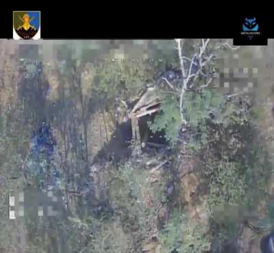 Drone drop footage from Ukraine 