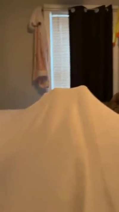 Upside Down Cat