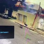 Two Birds, One Electric Line