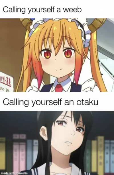 Stop it...get some help