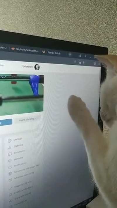 Mouse hunter