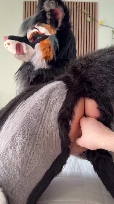 Come on and slip it in ~