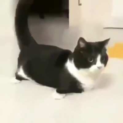 he
