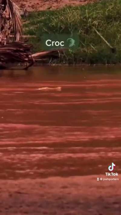 Spending 7 hours in a Kenyan mud hole next to a crocodile infested river - @joshporters