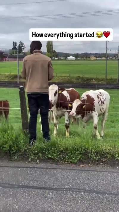 This African dairy farmer from Rwanda went to Switzerland and was able to control cows that don't belong to him.