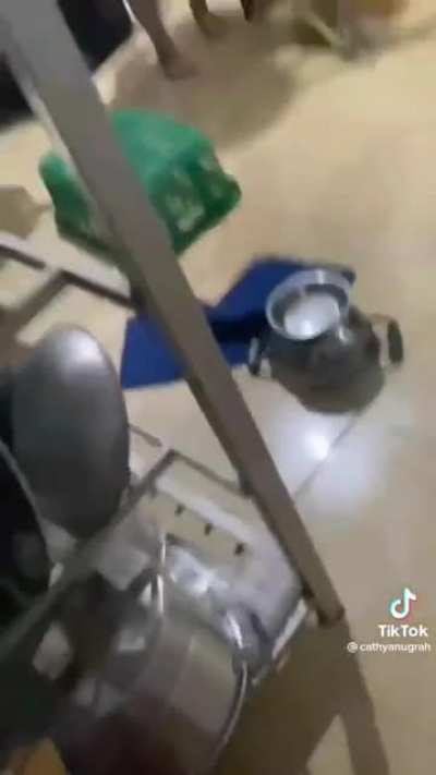 to trap a rat