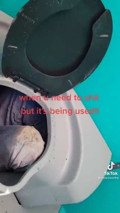 How’d ya get in there, bud?
