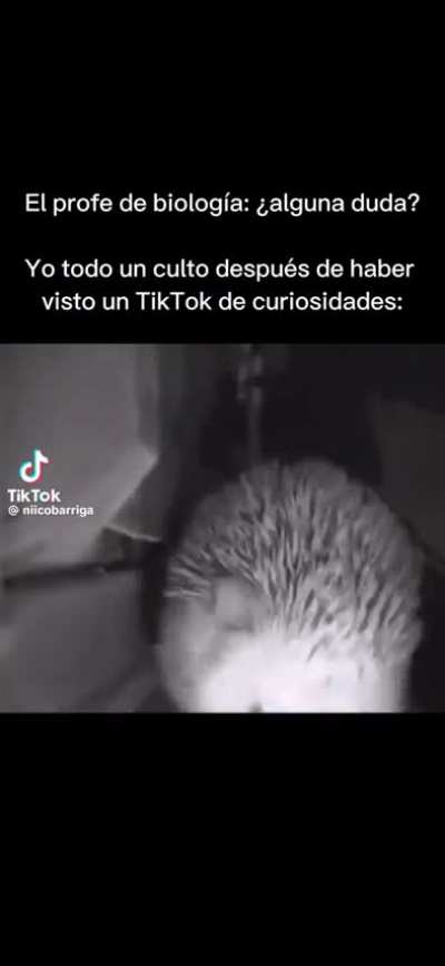 xd