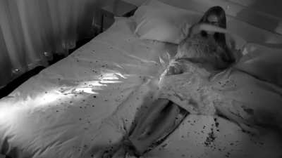 'In Bed with Cara'