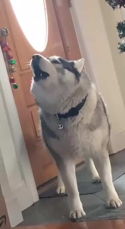 awoOOOOOOOa