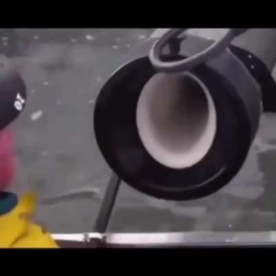 Fish gun