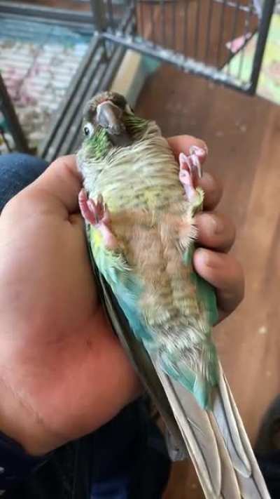 Pure bliss