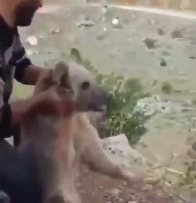 Aww what caring humans