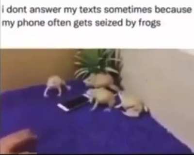 Possessive wunkus