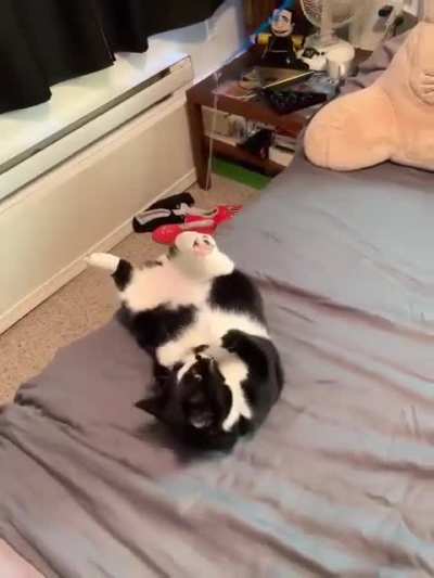 Kylo’s signature flip