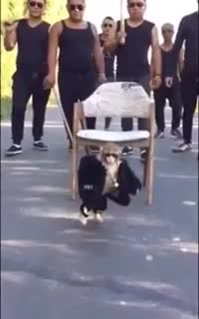 El admin