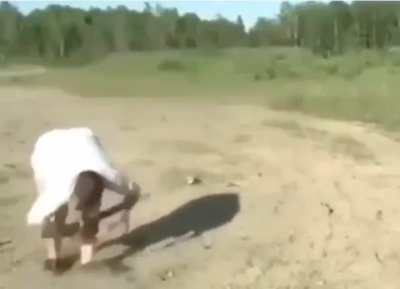Aptal orospu çocuğu