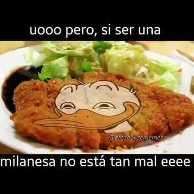 Milanesaaa