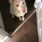 can we walk?