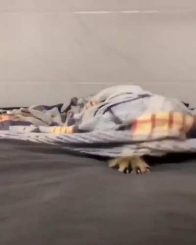 Hey, I'm in here