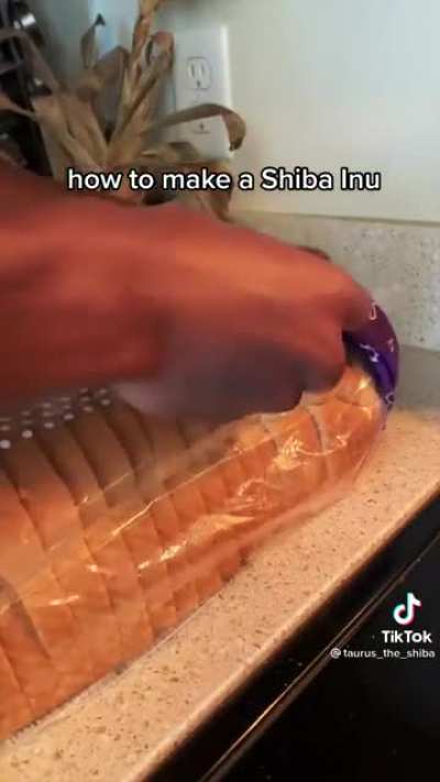 how to make a Shiba Inu