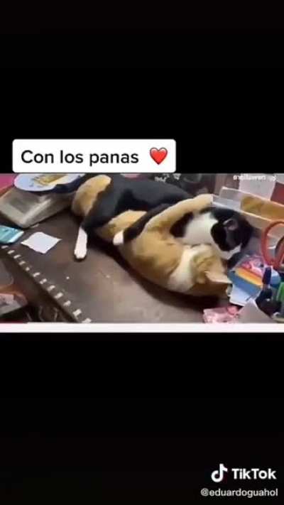 Los hombres tenemos 4 estados de ánimo 💪😡 👨‍❤️‍💋‍👨 😭 :D