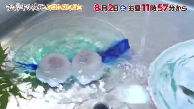 Hashiyasume on tv-osaka (August 2 '25) - with yet another idol on a bike journey to Echizen Ono Castle