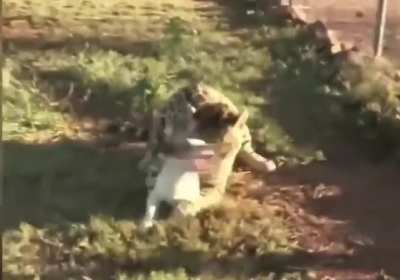 When a dog and a jaguar best friend were separated for safety, they became depressed and stopped eating, so they had to be reunited