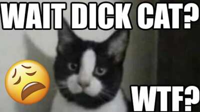 OMG