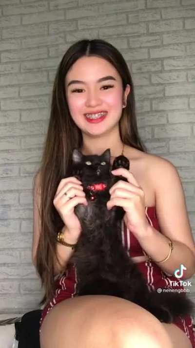 Ginseng Cat