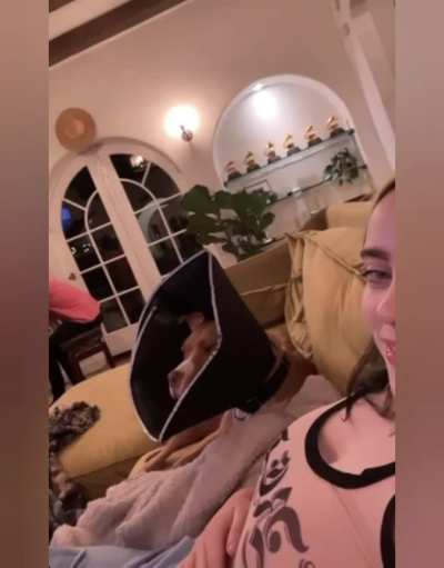 I'd do anything to have my rock hard cock between Billie Eilish's massive pale titties 😍