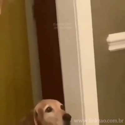 What did you say about my mom 🥺😟?