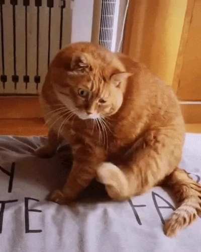 to scratch the head