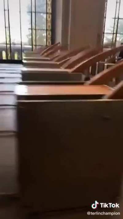 A quick video of my upstairs neighbors: