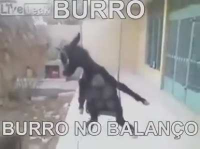 alguém pode me indica um programa de edição para pc