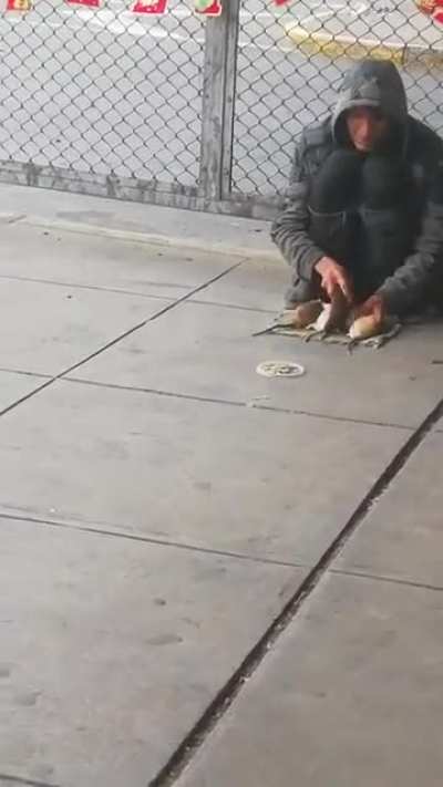 El domador de ratas