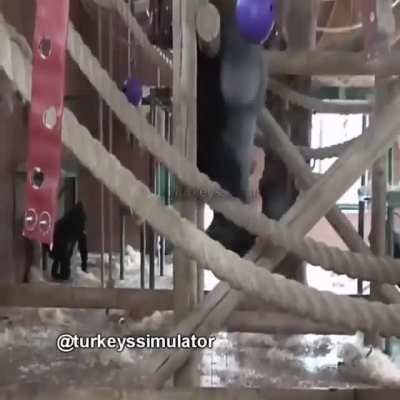HAYAT KAWGA DÖWÜŞ DEWAM mp4