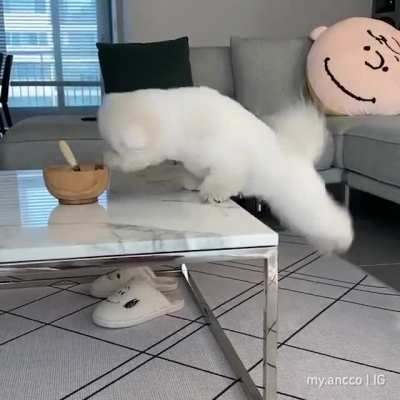 Yoga or Dance? Anyway its cute
