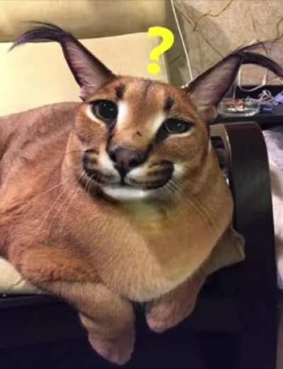 huh?