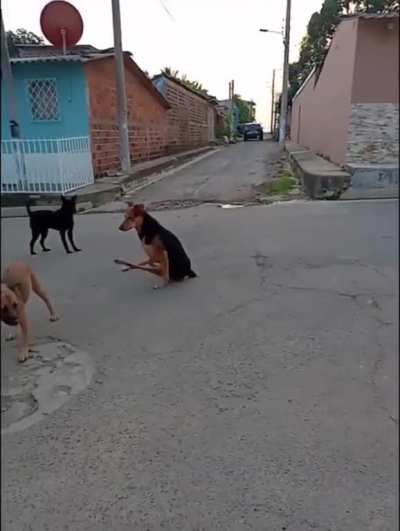 Aww lawd he coming