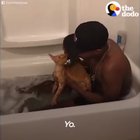 Just a dude rapping in the bath with his cat