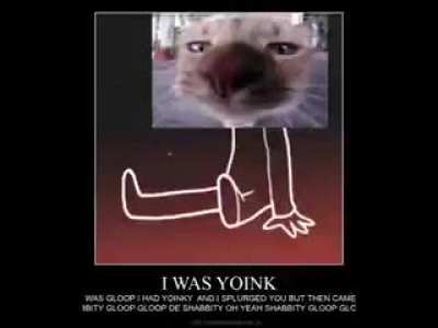 Gloop go rest