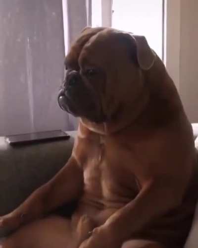 “Seriously man, why are we still watching this?”