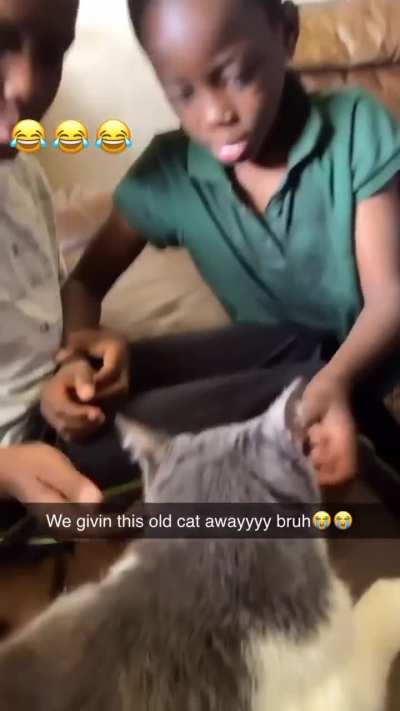 😶
