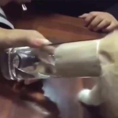 Cats are liquid.