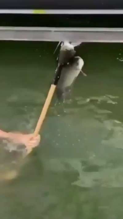 Here’s one way to fish