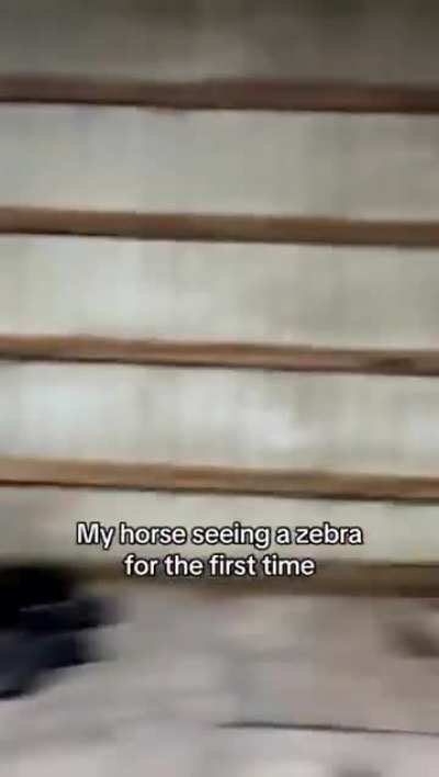 Eyes tell...